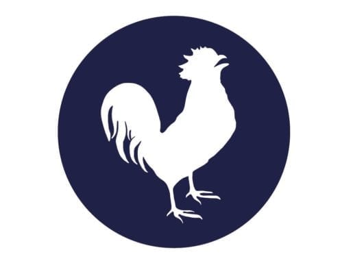 RoosterBio Logo