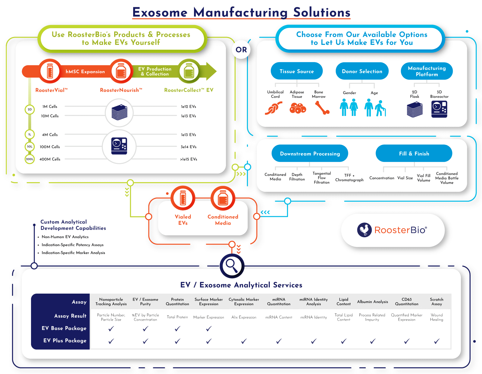 Exosome Manufacturing Solutions