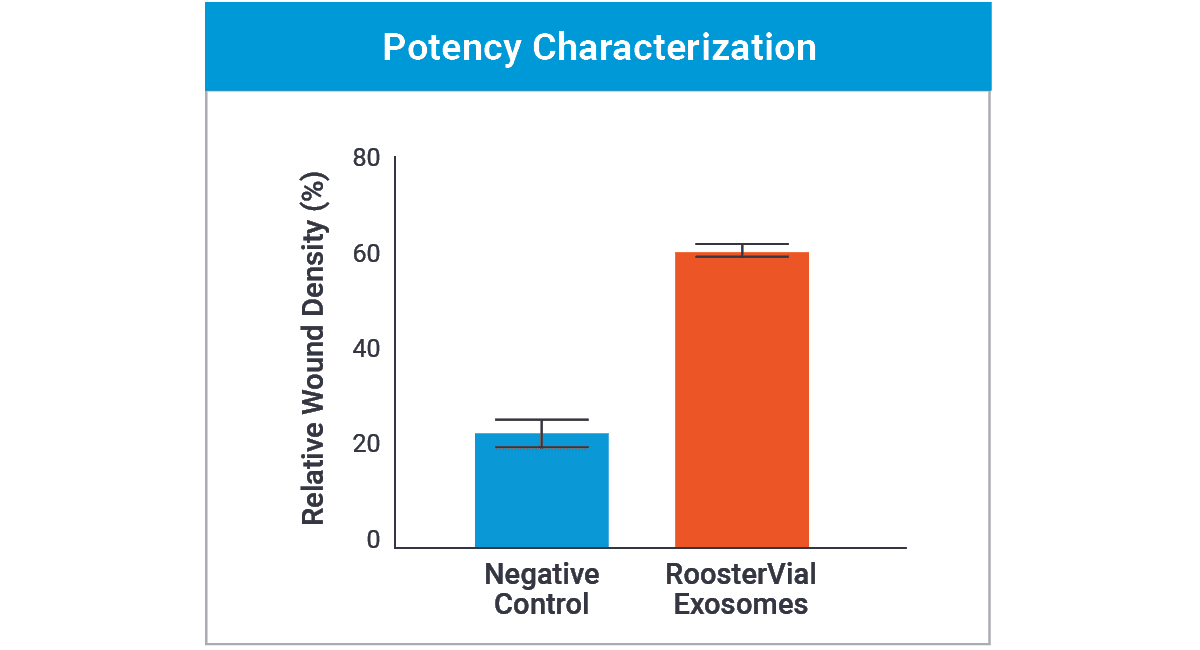 RoosterVial_Exosomes_Potency-Characterization