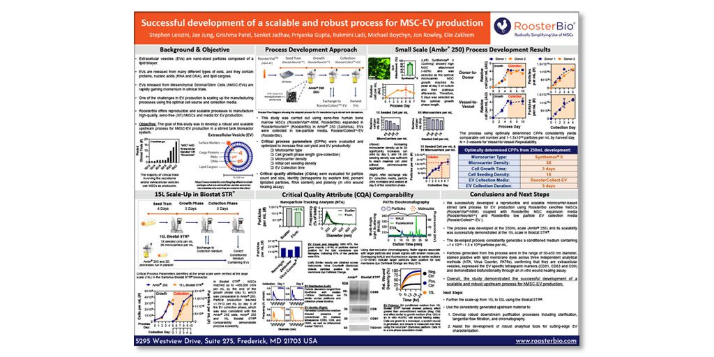 Successful-development-of-a-scalable-and-robust-process-for-MSC-EV-production