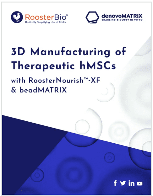 3d-manufacturing-of-therapeutic-hmscs