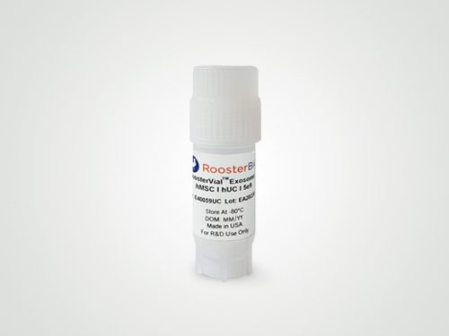 RoosterVial Exosomes