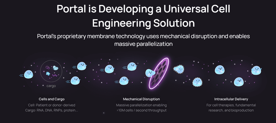 ortal-is-Developing-a-Universal-Cell-Engineering-Solution