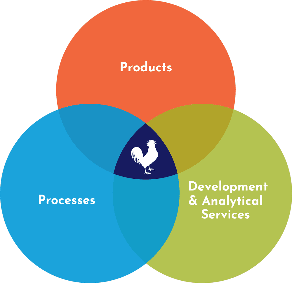 Products-Processes-Services