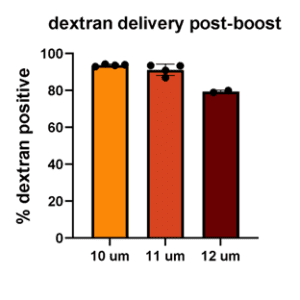dextran-delivery-post-boost