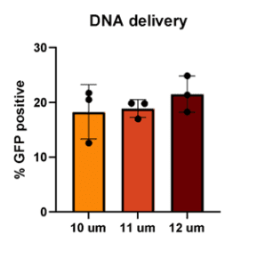 dna-delivery
