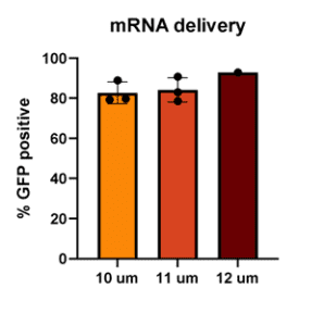 mrna-delivery